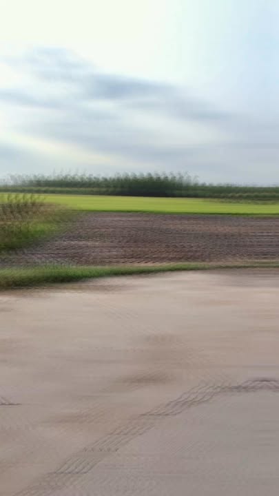 Đất nền sổ hồng riêng 140m² Đức Huệ, Long An - Giá 350 Triệu