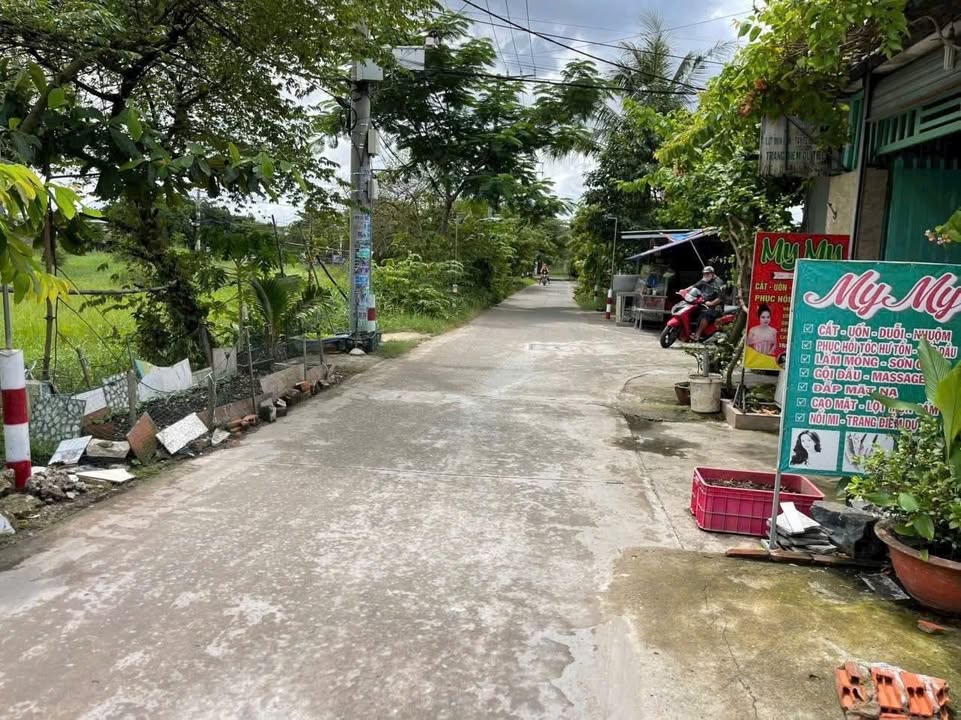 Bán đất 1000m² sổ đỏ riêng tại Bình Chánh - Giá 7 tỷ