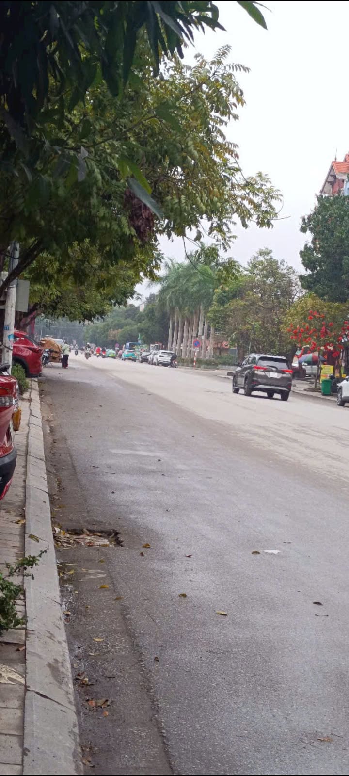 Nhà phố Dương Đình Nghệ, TP Thanh Hóa 100m² - Mặt tiền kinh doanh đắc địa!