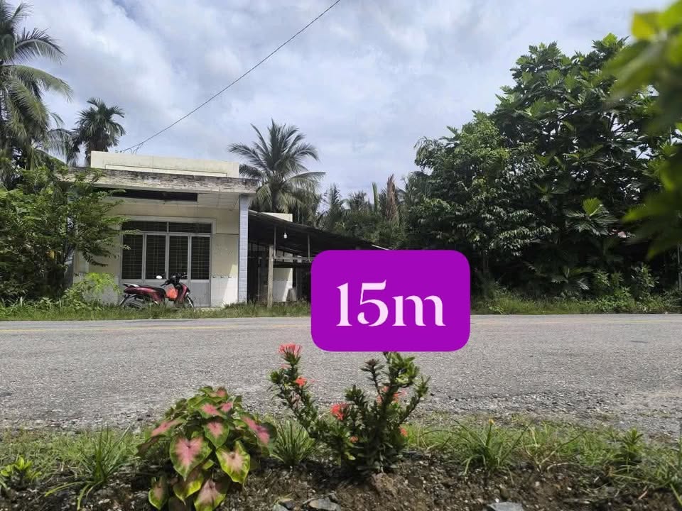 Đất & Nhà Cấp 4 Châu Bình Giồng Trôm 314m² - Mặt tiền kinh doanh!