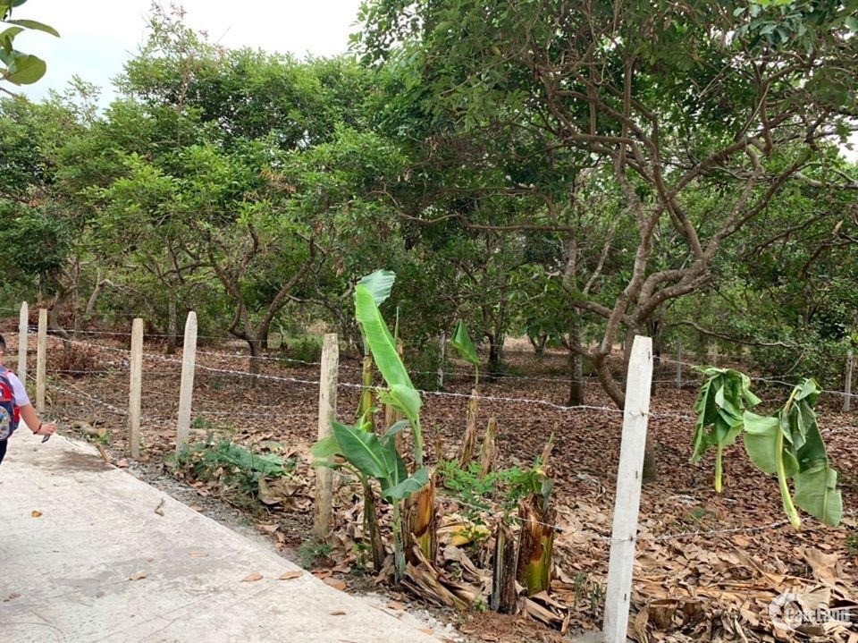 Đất nền Suối Tre Xuân Lộc 620m² 900 triệu - Sổ đỏ