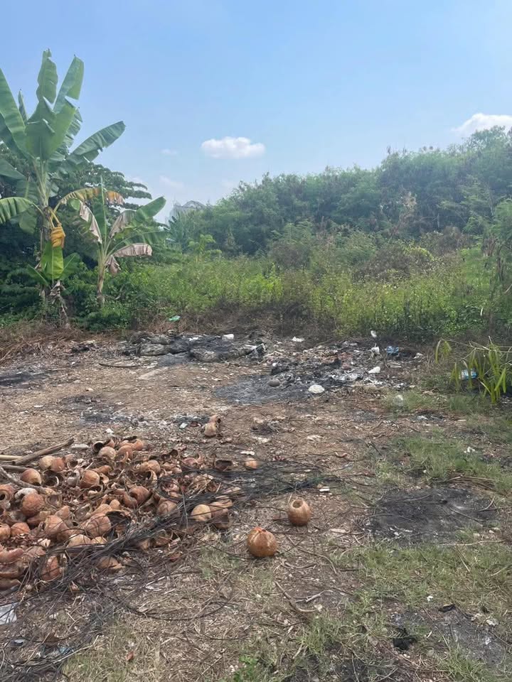 Đất Mặt Tiền Vườn Lài Q12 50 triệu - Mặt tiền kinh doanh đắc địa!