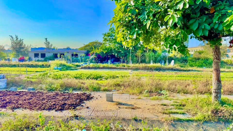 Đất nền KĐT Viêm Minh Hà Dừa 80m² giá 2.35 tỷ - Sổ hồng sẵn sàng!