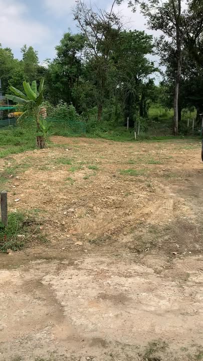 Đất nền Hòa Vang 150m² giá 1.49 tỷ - Sổ đỏ chính chủ!