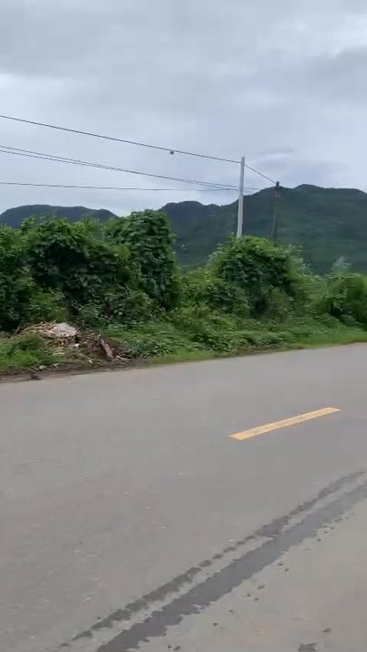 Đất nền Đại Sơn Quảng Nam 3ha giá 1 tỷ - Sổ đỏ chính chủ