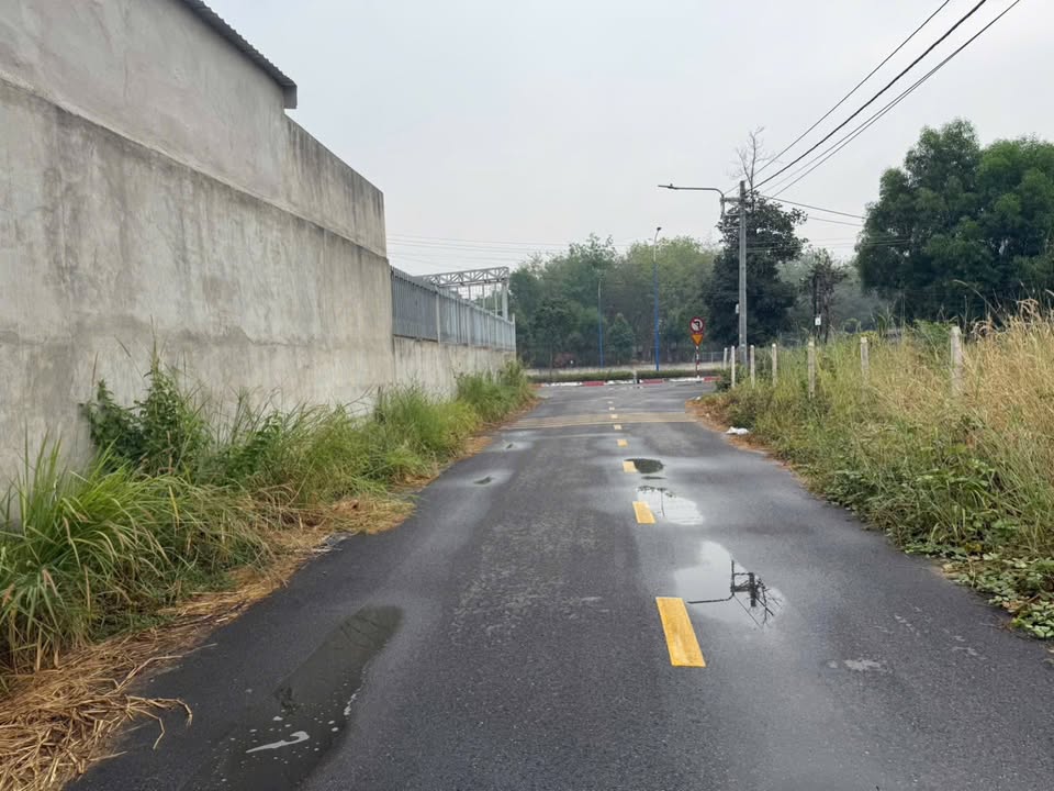 Đất Nền Bến Cát 250m² Sổ Thổ Cư - Kế KCN Mỹ Phước 2 & 3