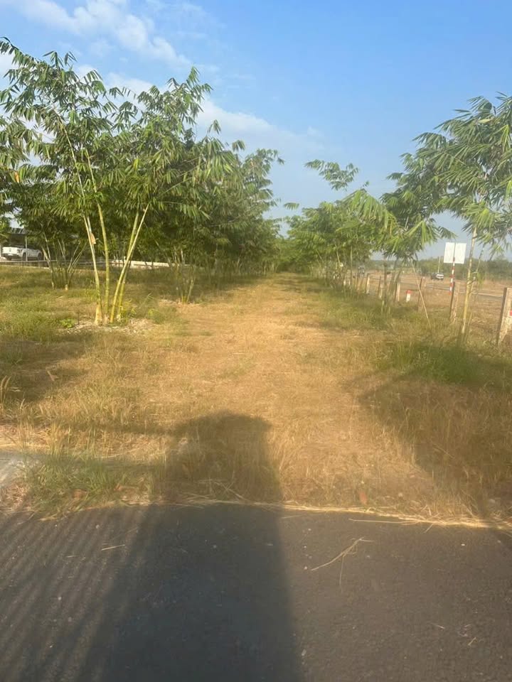 Đất Vườn Hàm Kiệm 7900m² - Sổ Đỏ Rõ Ràng, Giá Đầu Tư Hấp Dẫn