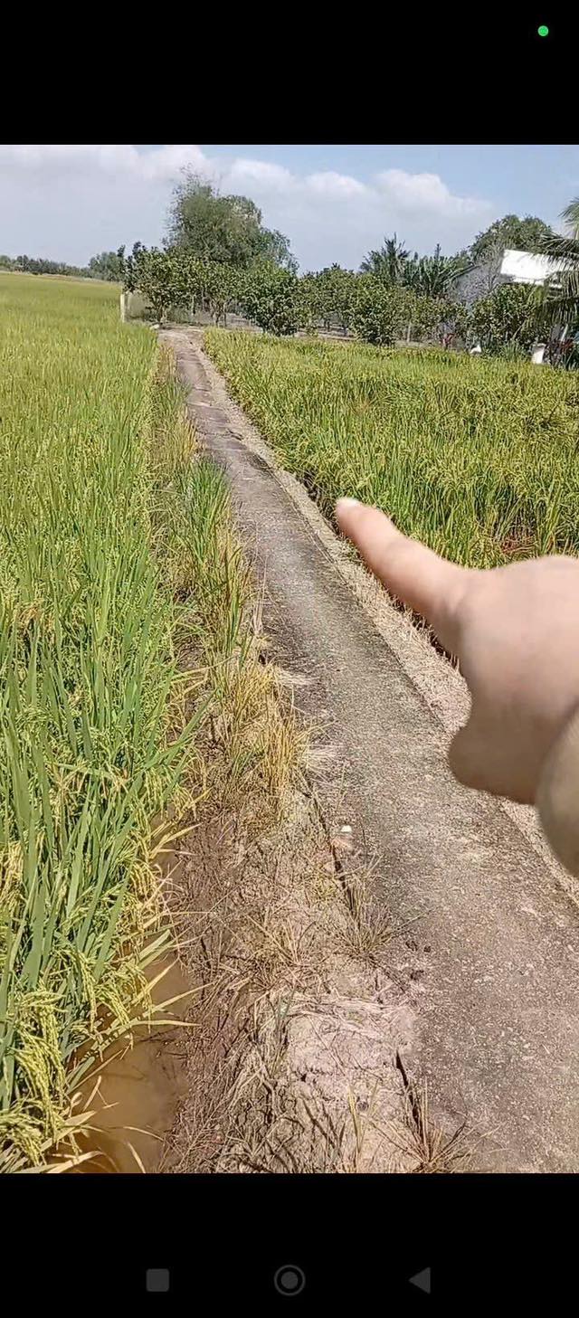 Đất nền Phước Đông Cần Đước 1ha giá 400 triệu - Tiềm năng tăng giá!