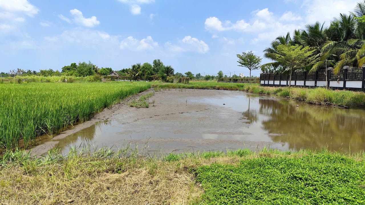 Đất nền Trung Lập Hạ Củ Chi 545m² - Tiềm năng tăng giá vượt trội!