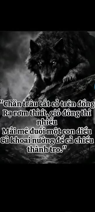 Đất nền An Sinh Đông Triều 240m² giá 1 tỷ - Sổ đỏ chính chủ!