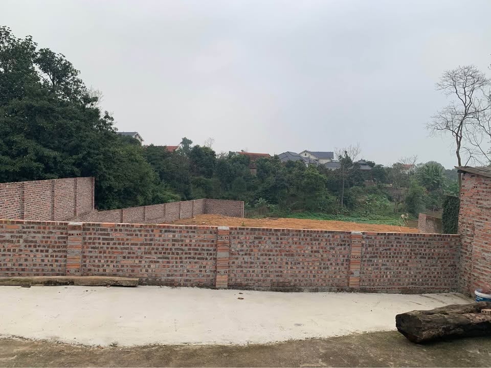 Đất Nền Nghỉ Dưỡng 800m² Tiên Phong, Ba Vì - Sổ Đỏ, Ô Tô Vào Đất