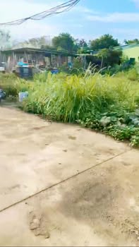 Bán Đất Thượng Lâm Cũ Mỹ Đức 157m² - Sổ Đỏ Chính Chủ, Giá Đầu Tư