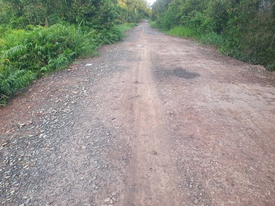 Đất Vườn Tiền Giang 20.700m² - Giá Đầu Tư 4.14 Tỷ, Đường Xe Hơi