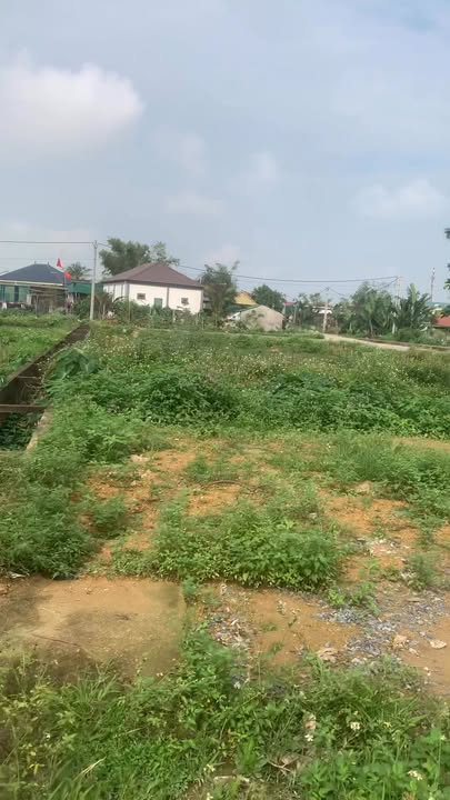 Đất Hưng Lĩnh 200m² - Sổ Đỏ Chính Chủ, Sẵn Sàng Xây Dựng