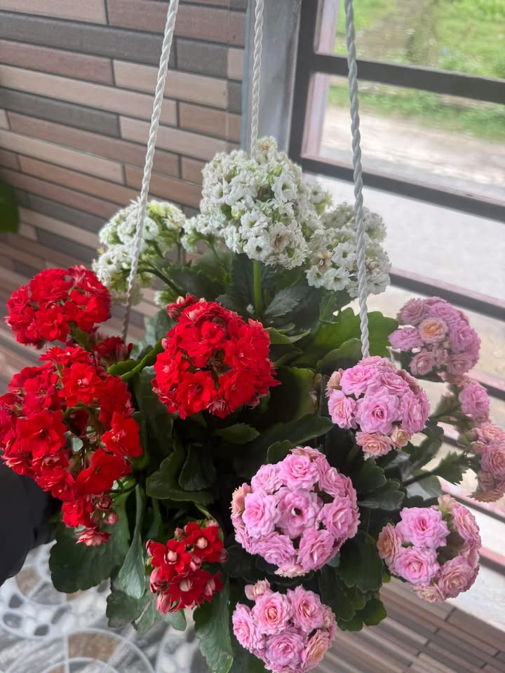 Đất nền Xuân Thành, Yên Thành 180m² - Đường to ô tô, tiềm năng lớn!