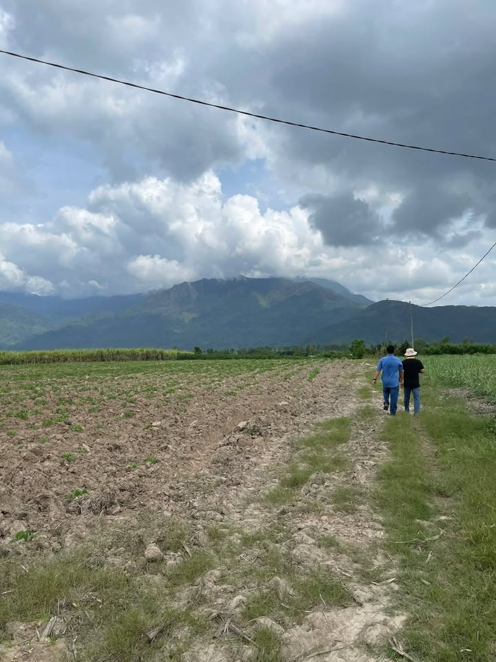 Đất nền Ninh Hòa 1645m² từ 3 tỷ - Sổ đỏ chính chủ!