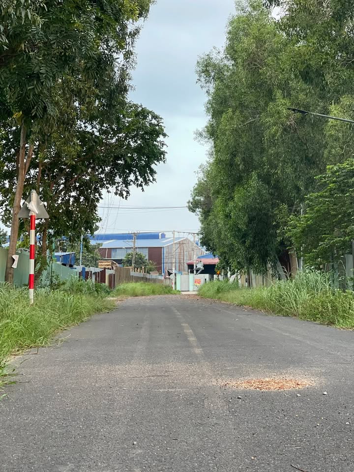 Đất nền Thới Hòa Bến Cát 2340m² - Tiềm năng tăng giá vượt trội!