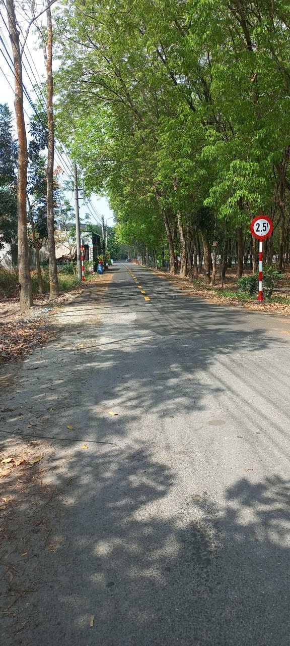 Đất nền Tân Định Bến Cát 185m² giá 1.5 tỷ - Sổ hồng chính chủ!