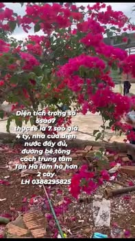 Bán Đất Vườn Lâm Hà 7000m² - Sổ Đỏ Chính Chủ, Giá 4 Tỷ