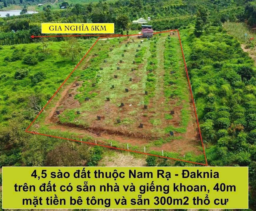 Bán Đất Vườn Xã Đắk Nia Krông Nô 4900m² - Nghỉ Dưỡng Lý Tưởng!