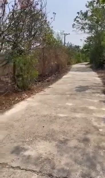 Đất nền Biên Hòa 1170m² - Sổ đỏ chính chủ, đường ô tô!