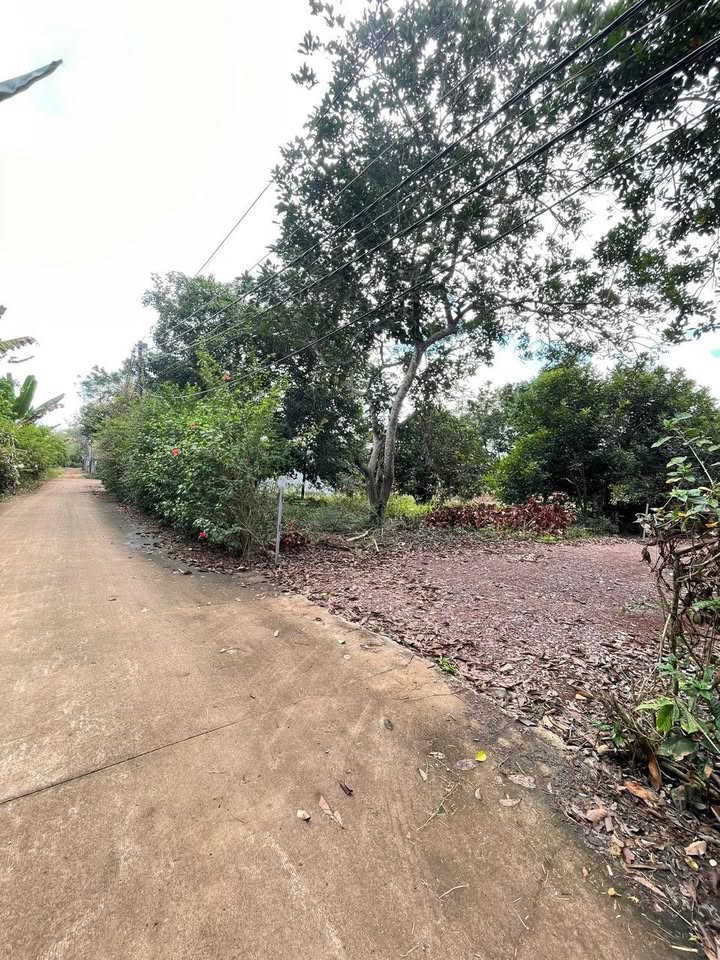 Đất nền Long Khánh 220m² chỉ 790 triệu - Sổ đỏ chính chủ!