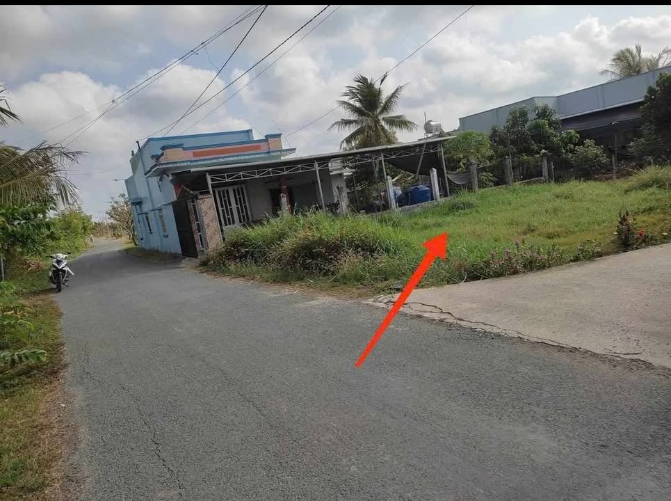 Đất Nền Cần Giuộc 233m² Sổ Đỏ Chính Chủ - Giá Đầu Tư 2.3 Tỷ