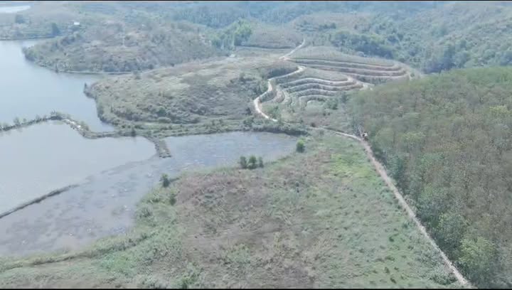 Bán Gấp Farm 8ha Bám Hồ Giá 11 Tỷ - Đất Vàng Quảng Sơn, Lâm Đồng