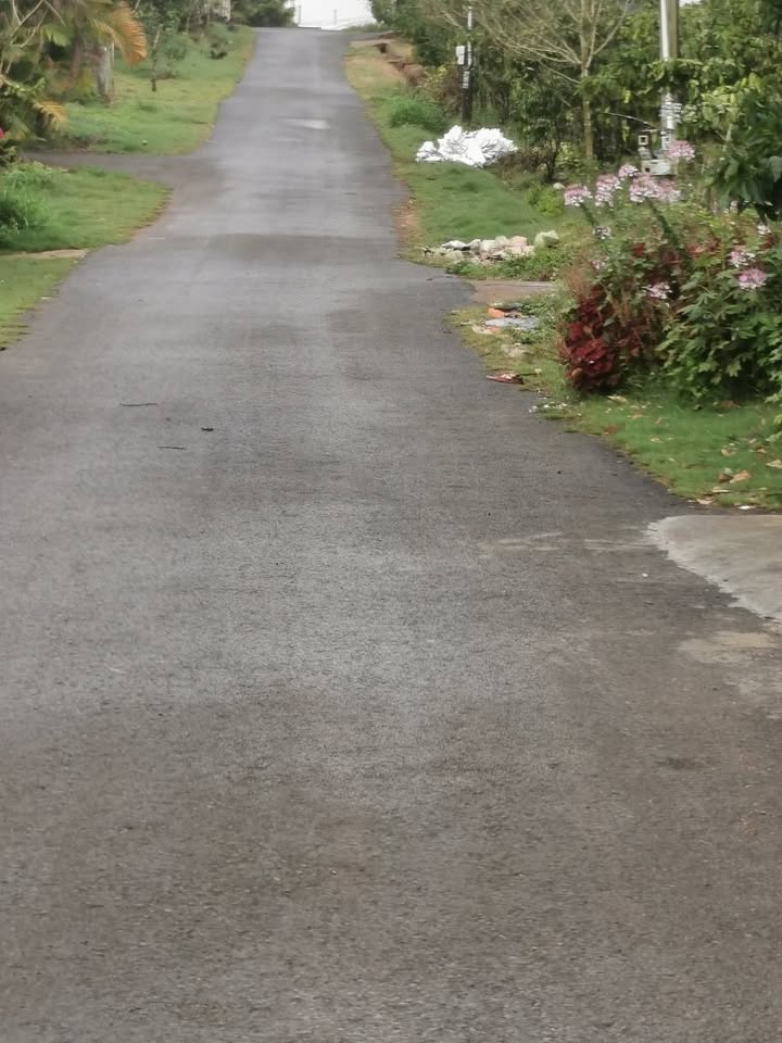 Bán Gấp Nhà Cấp 4 Hẻm 112 Mạc Thị Bưởi, Dầu Tiếng - 344m² Sổ Đỏ