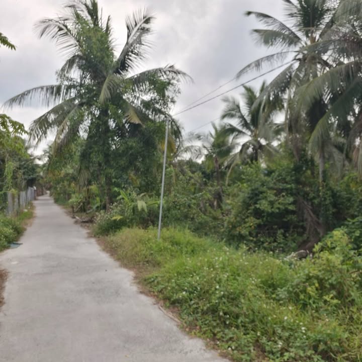 Đất nền Cai Lậy 4228m² - Sổ đỏ chính chủ, giá tốt!