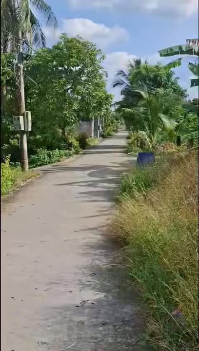 Bán nhà vườn Cai Lậy 1.024m² giá 1.5 tỷ - Sổ hồng sẵn sang tên!