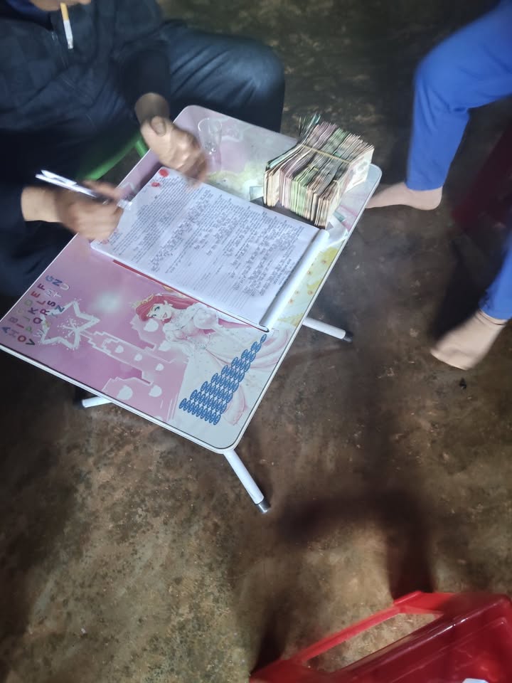 Đất Rẫy Đắk Drô, Krông Nô 1.3ha - Sổ đỏ chính chủ