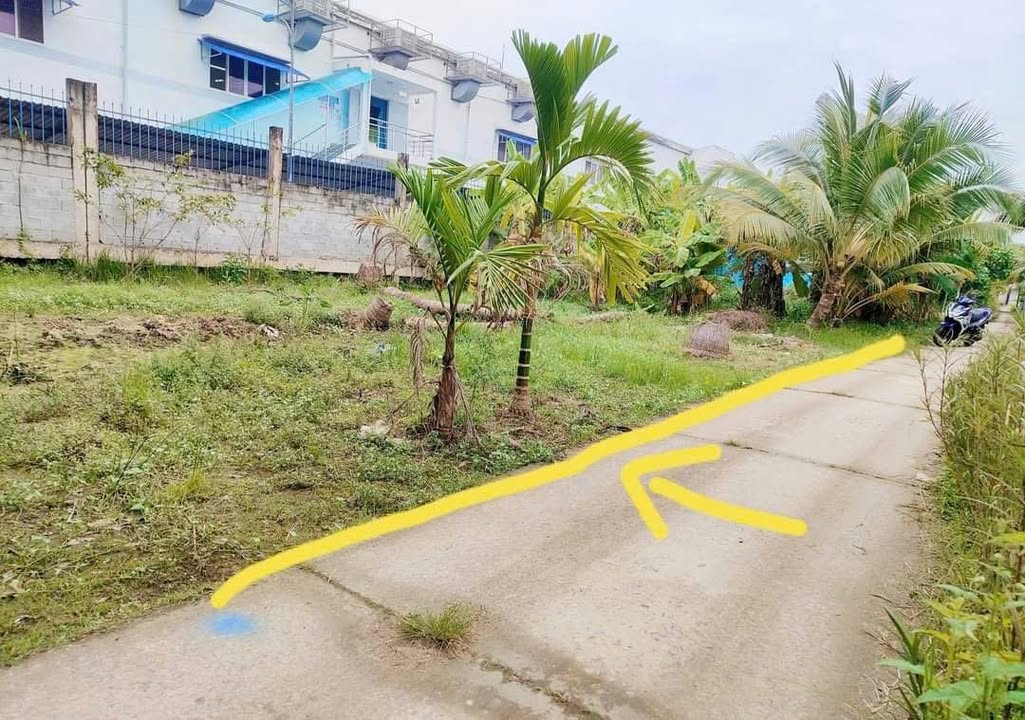 Đất nền Mỹ Thạnh Giồng Trôm 185m² - Xây dựng tự do!