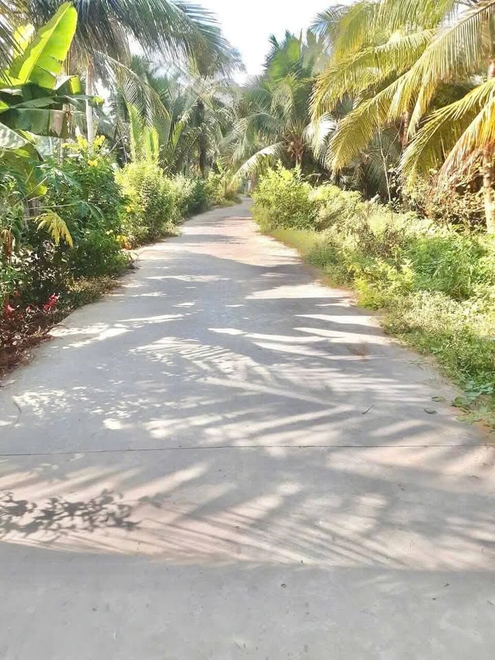 Đất vườn Bến Tre 3357m² - Sinh thái xanh, ô tô vào tận nơi!