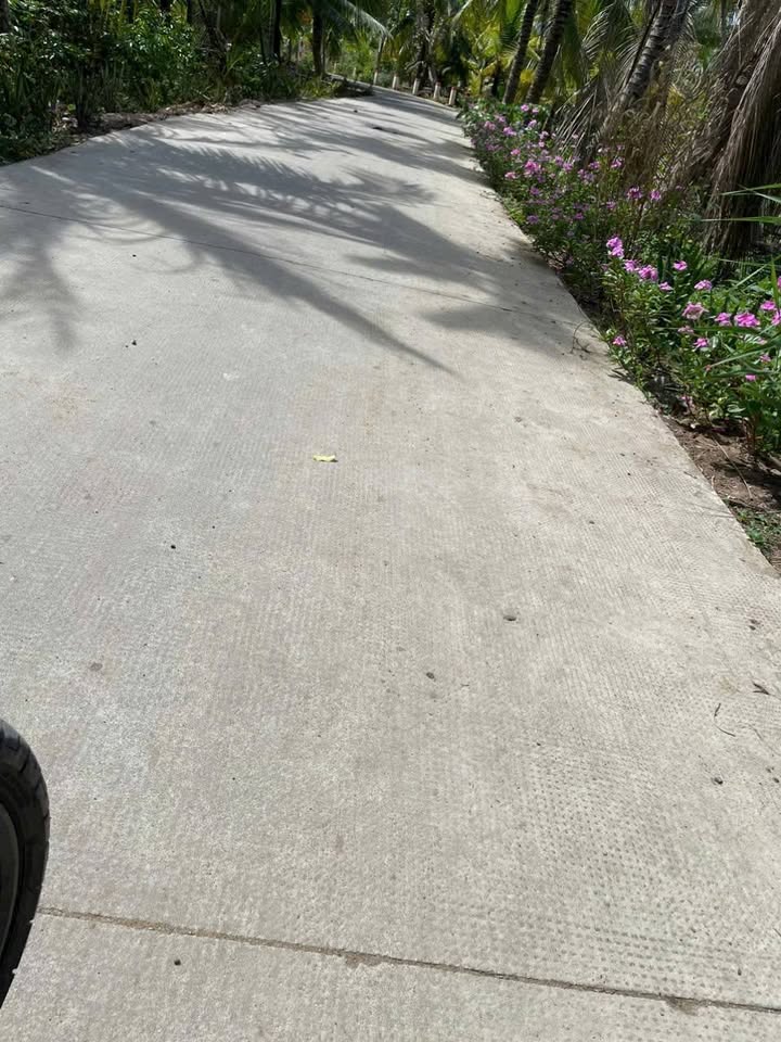 Đất Vườn Bến Tre 3200m² - Giá 700 Triệu, Đường Xe Hơi Vào Tận Nơi