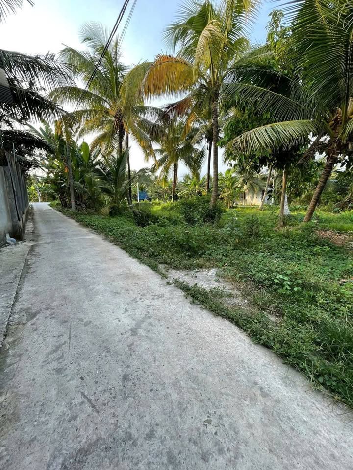 Bán đất vườn 2000m² Tam Phước Châu Thành 4 tỷ - Sẵn trại cá giống!