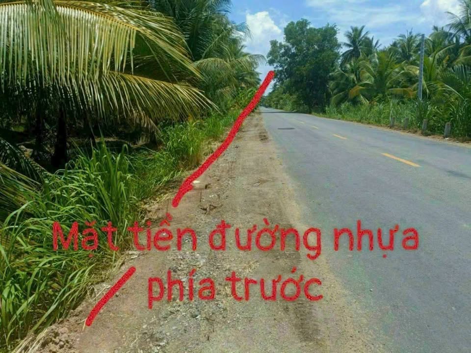 Đất nền Châu Bình, Giồng Trôm 7000m² - Tiềm năng tăng giá vượt trội!