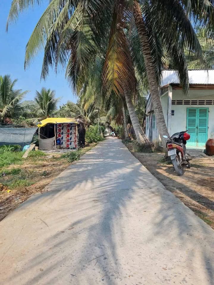 Đất Nền Tam Phước, Châu Thành 3000m² - Đường to ô tô!