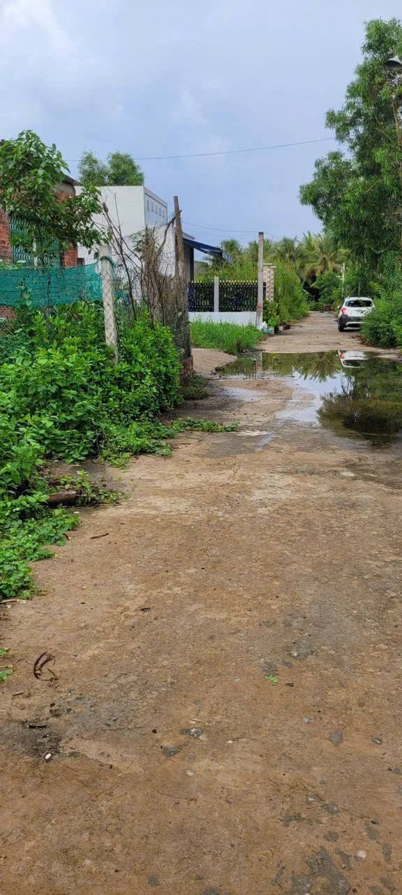 Đất Nền Phường 8 Bến Tre 114m² - Đường To Ô Tô, Giá Tốt!