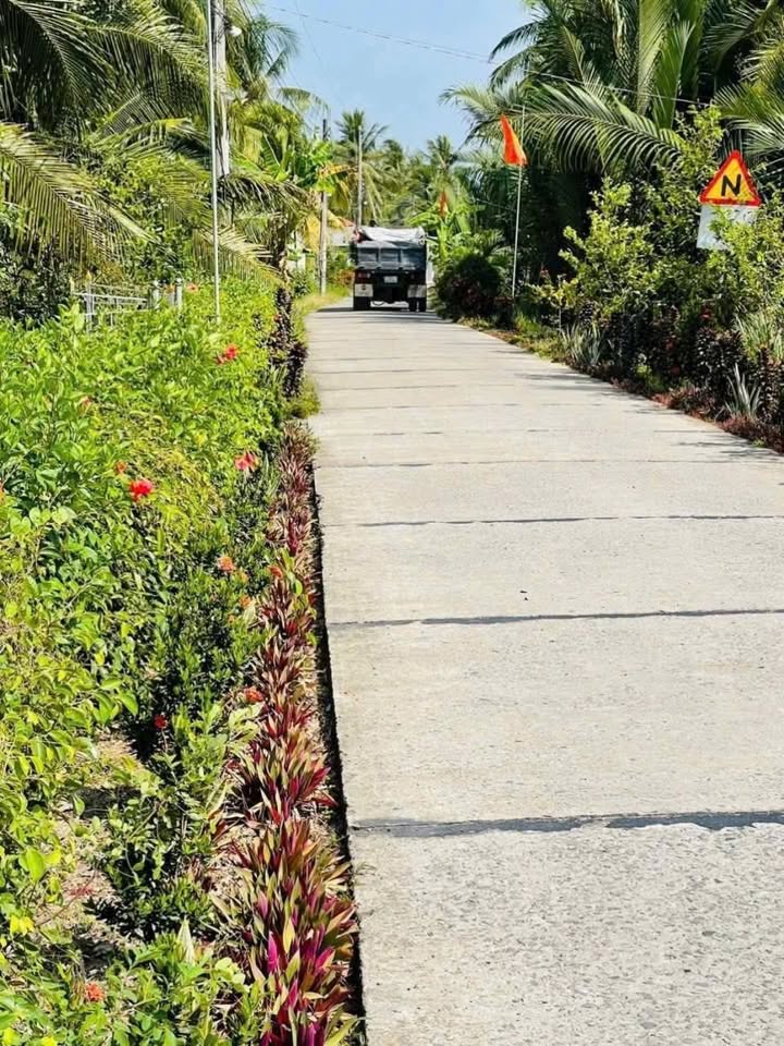 Đất vườn Giồng Trôm 1500m² - Sinh thái xanh, view sông mát mẻ!