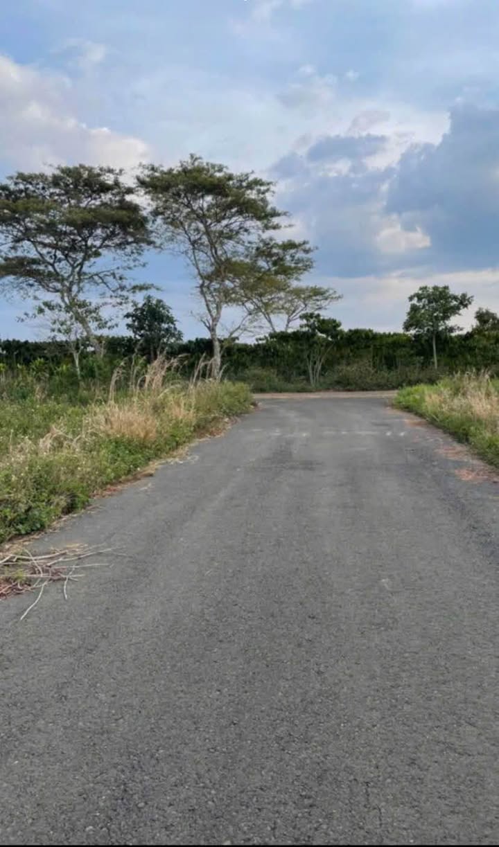 Đất nền 230m² Bảo Lộc - Sổ đỏ chính chủ, full thổ cư!