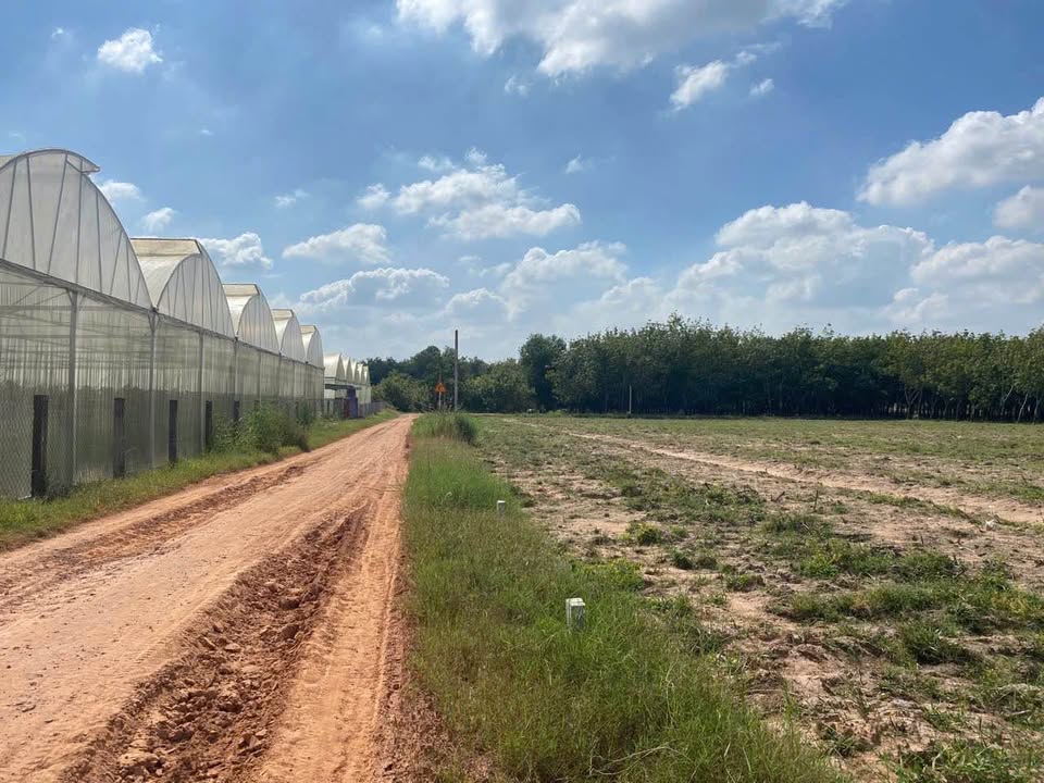 Đất Nền Tân Biên, Tây Ninh - 160m² Giá Tốt, Sổ Hồng Riêng