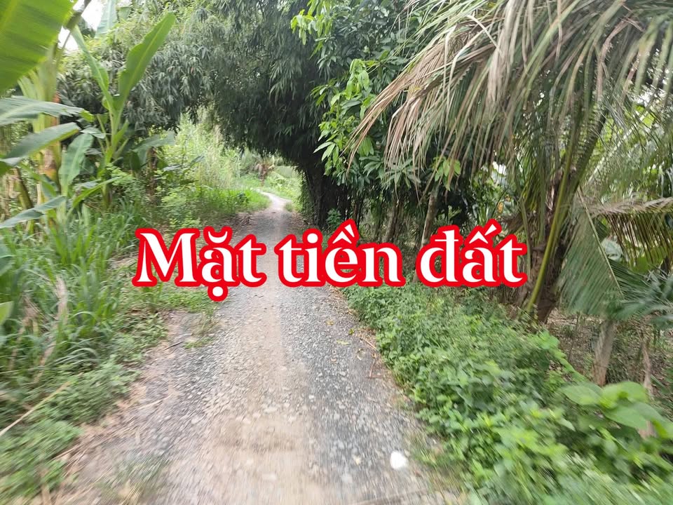 Đất nền Song Phú Tam Bình 825m² - Tiềm năng tăng giá, giá chỉ 4xx triệu!