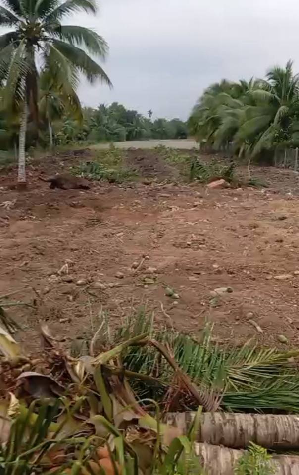 Đất vườn Hòa Tịnh 1.613m² giá 1.65 tỷ - Nghỉ dưỡng lý tưởng