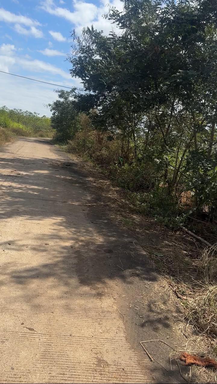 Đất Nền Xã Ea Bar, Cư M'gar 15100m² - Đường To Ô Tô, Tiềm Năng Tăng Giá!