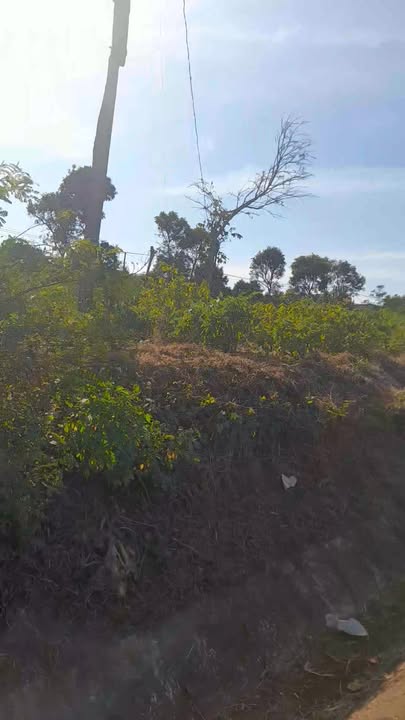 Đất nền Quy Nhơn 3200m² giá 6.5 tỷ - Tiềm năng tăng giá vượt trội!