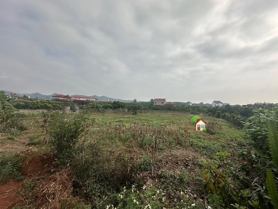 Đất nền Quý Sơn, Bắc Giang 194m² - Tiềm năng tăng giá vượt trội!