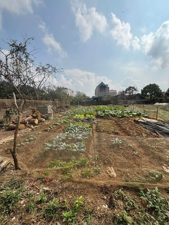 Đất nền Phường Ninh Phúc, Hoa Lư 68m² giá hơn 1 tỷ - Sổ đỏ chính chủ