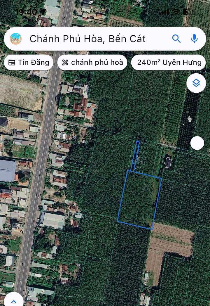 Bán Đất Vườn 7683m² Chánh Phú Hòa, Bến Cát - Giá 12 Tỷ, Sẵn Nhà Vườn