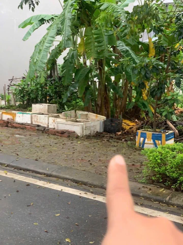 Căn hộ 75m² KĐT TMS Vĩnh Yên - Giá Thỏa Thuận